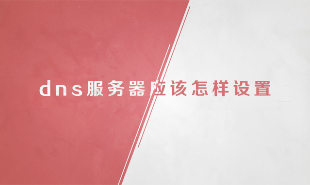 dns������